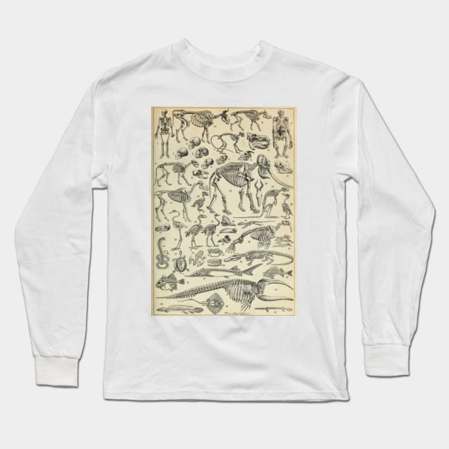 Skeletal Anatomy Long Sleeve T-Shirt by bluespecsstudio